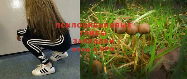 винт Абаза