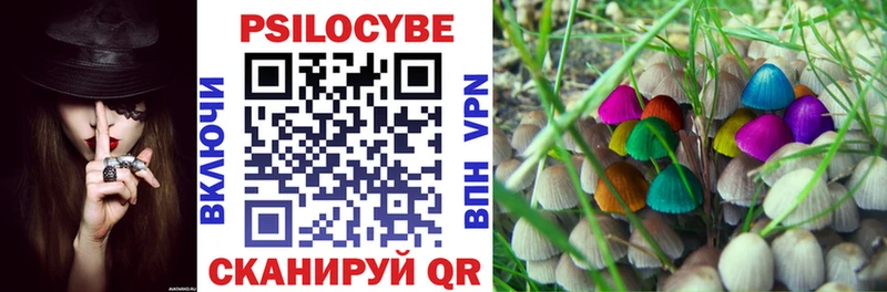 Псилоцибиновые грибы ЛСД  Котлас 